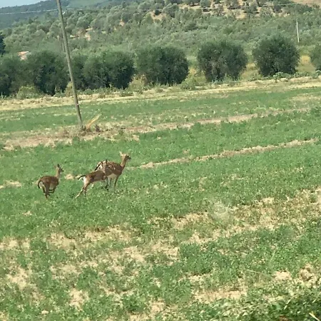 Casetta Tre Poderi Papaveri Διαμέρισμα Monte Cucco